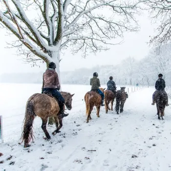 Vijf ruiters te paard rijden in een rij door een besneeuwd winterlandschap langs een veld en een rij bomen.